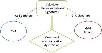 A Computational Model of Tumor Growth and Anakoinosis